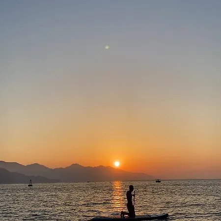 فندق The Diplomat تورونشْ