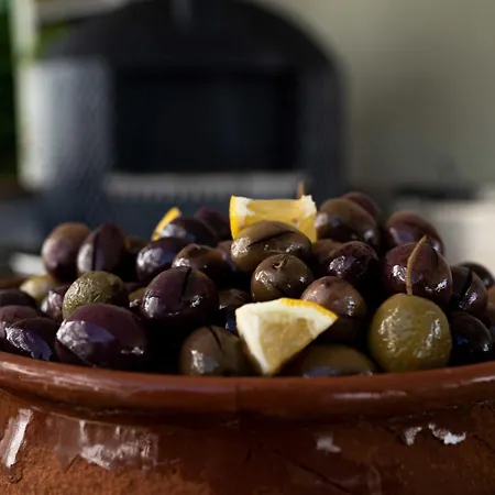 فندق The Diplomat تورونشْ