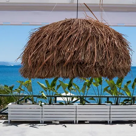 The Diplomat فندق