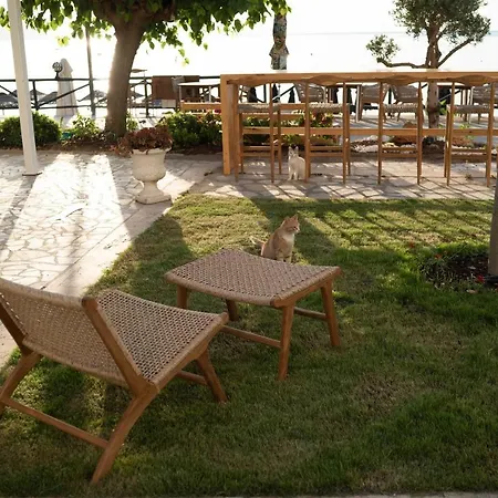 فندق The Diplomat 2*