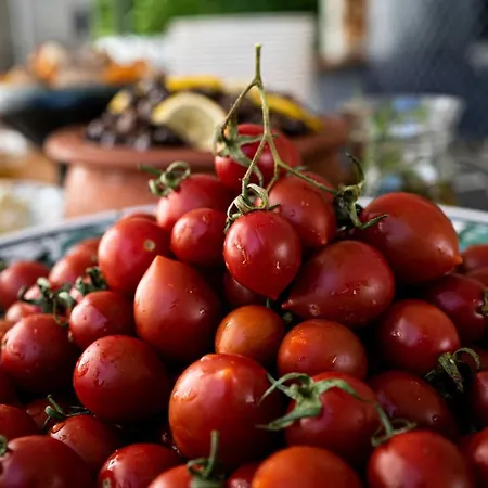 فندق The Diplomat