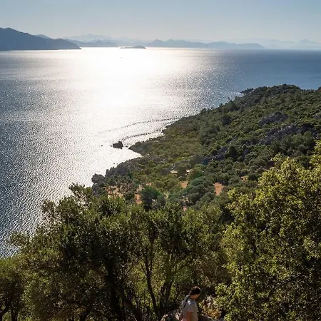 The Diplomat 2* تورونشْ