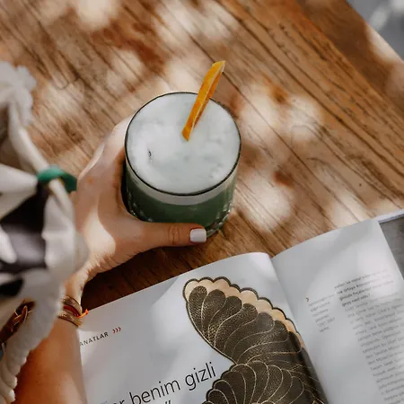 The Diplomat 2* Turunc