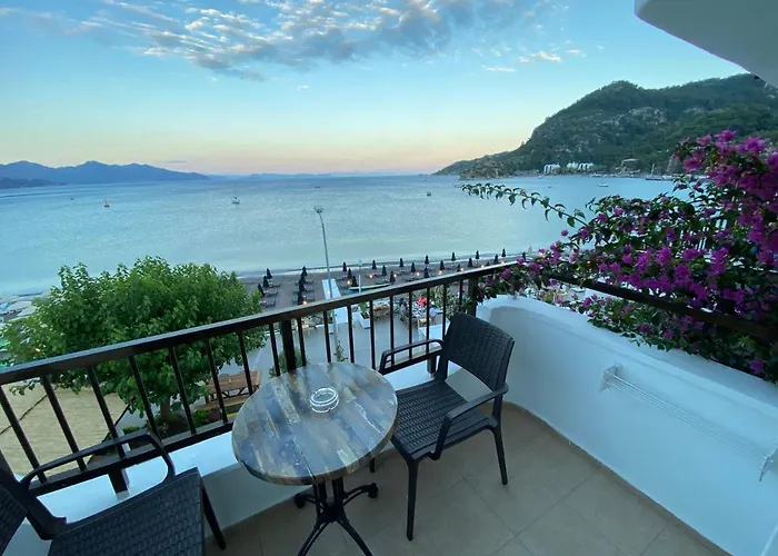 The Diplomat 2* تورونشْ