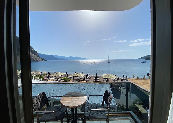 The Diplomat 2* Турунч