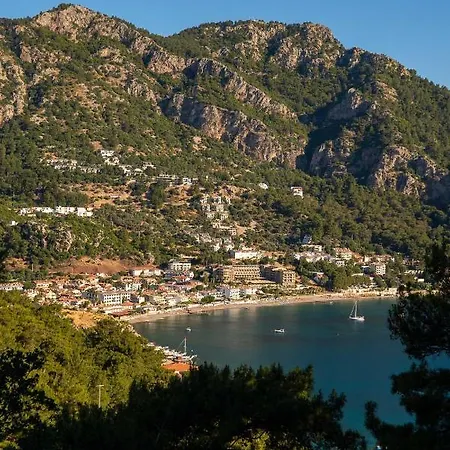 The Diplomat Turunç