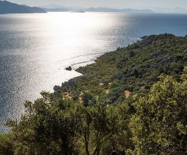 The Diplomat 2* Turunç